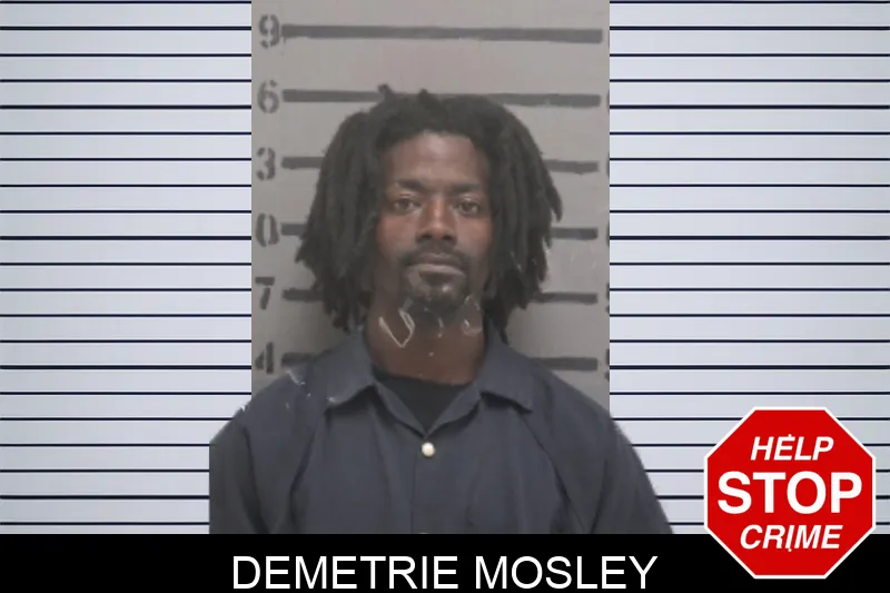 Demetrie Mosley mugshot – Dougherty County , Georgia Demetrie Mosley mugshot
