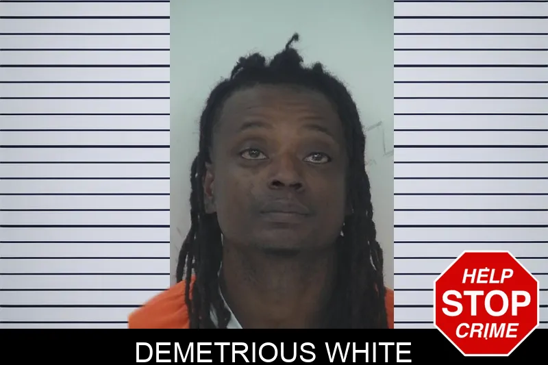 Demetrious White mugshot