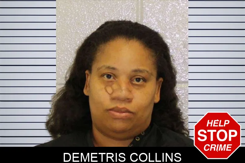 Demetris Collins mugshot
