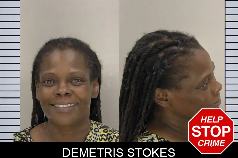Demetris Stokes mugshot