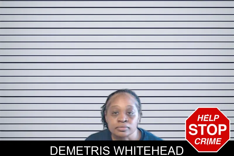 Demetris Whitehead mugshot – DeKalb County , Georgia Demetris Whitehead mugshot