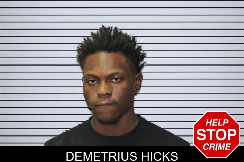 Demetrius Hicks mugshot – Thomas County , Georgia Demetrius Hicks mugshot