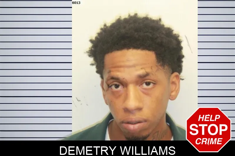 Demetry Williams mugshot – Chatham County , Georgia Demetry Williams mugshot