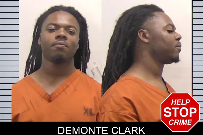 Demonte Clark mugshot