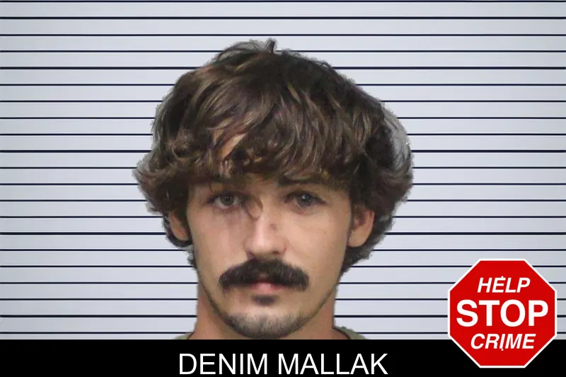 Denim Mallak mugshot