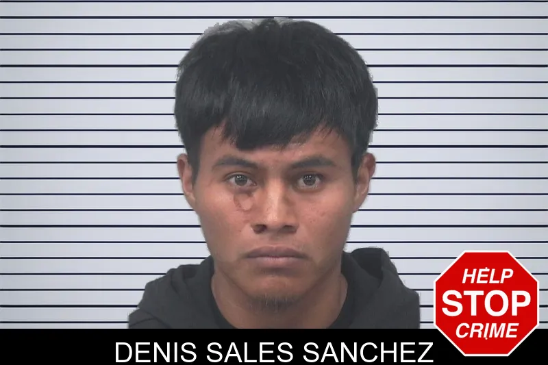 Denis Sales Sanchez mugshot