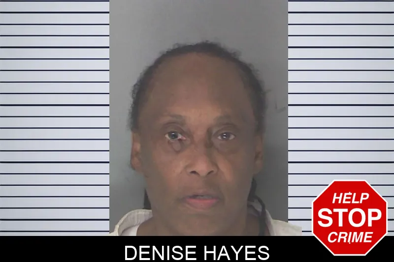 Denise Hayes mugshot