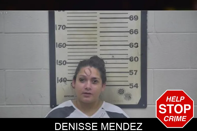 Denisse Mendez mugshot – Coffee County , Georgia Denisse Mendez mugshot