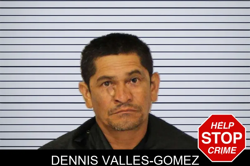 Dennis Valles-Gomez mugshot