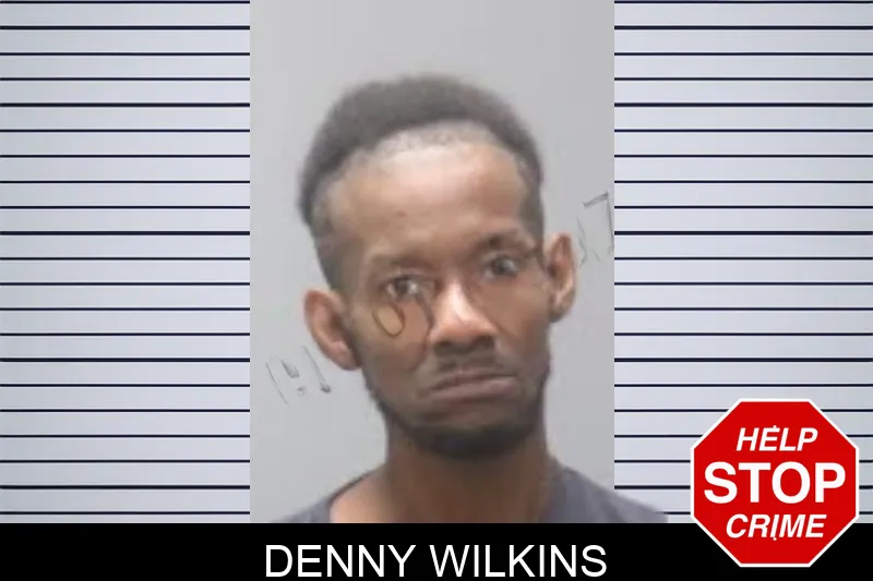 Denny Wilkins mugshot