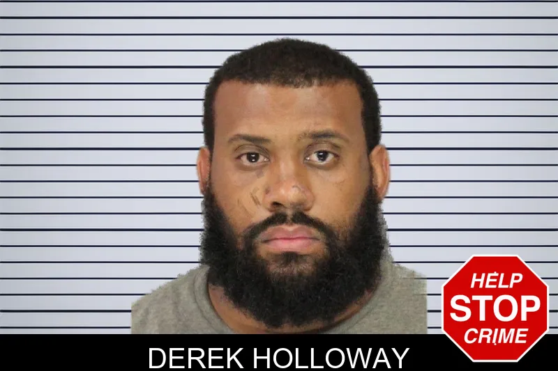 Derek Holloway mugshot