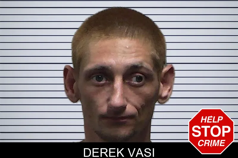 Derek Vasi mugshot