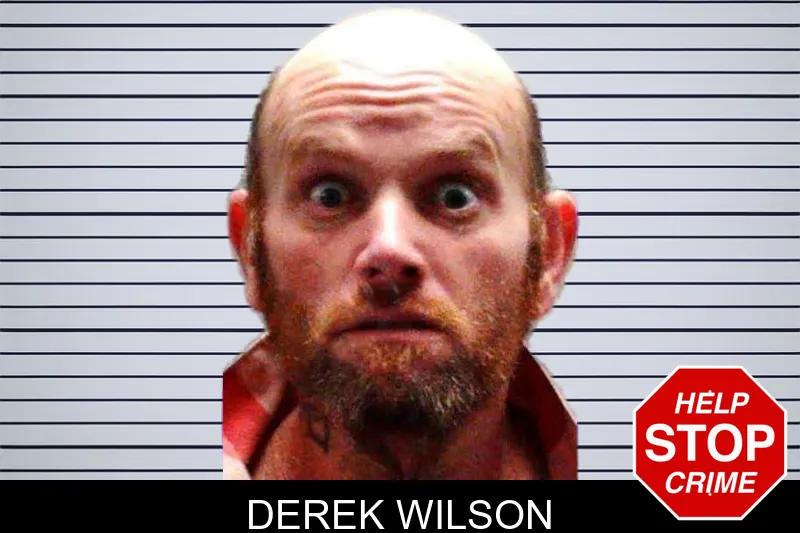 Derek Wilson mugshot