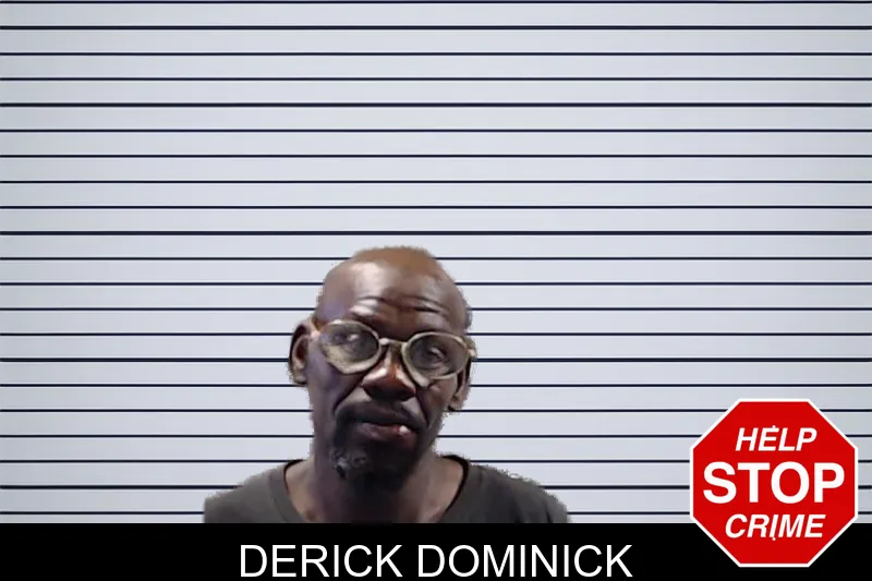 Derick Dominick mugshot
