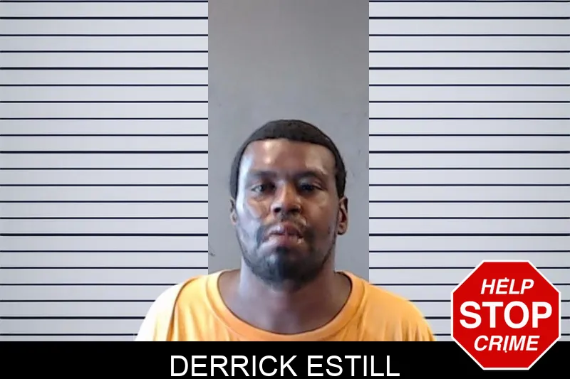Derrick Estill mugshot