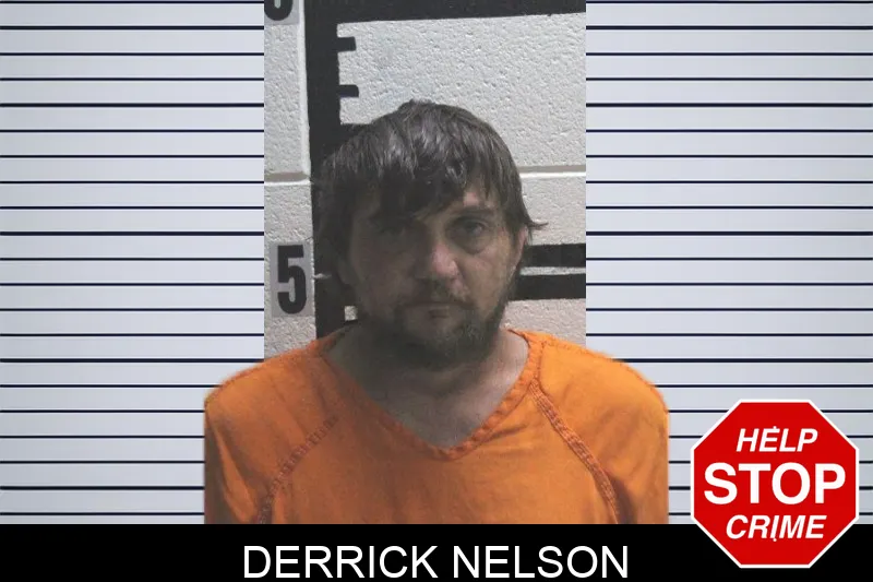 Derrick Nelson mugshot – Murray County , Georgia Derrick Nelson mugshot