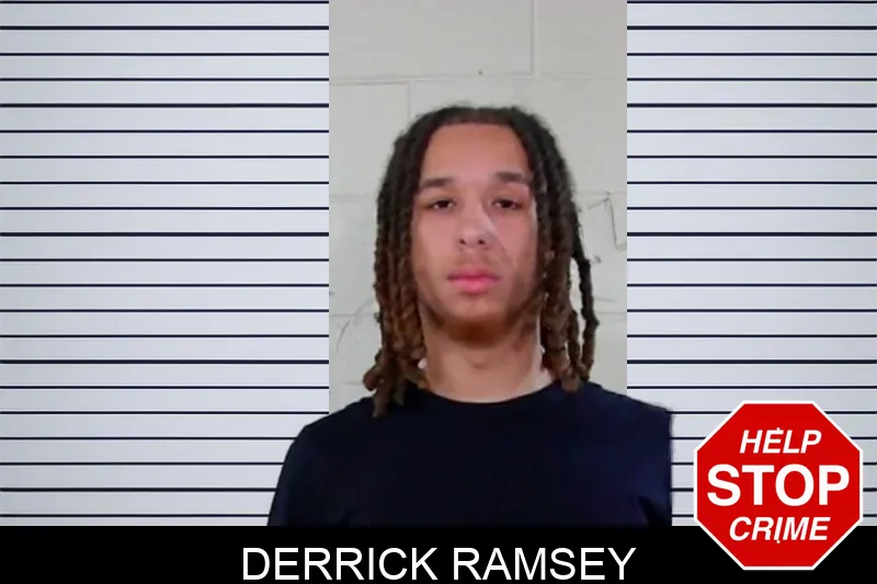 Derrick Ramsey mugshot – Liberty County , Georgia Derrick Ramsey mugshot