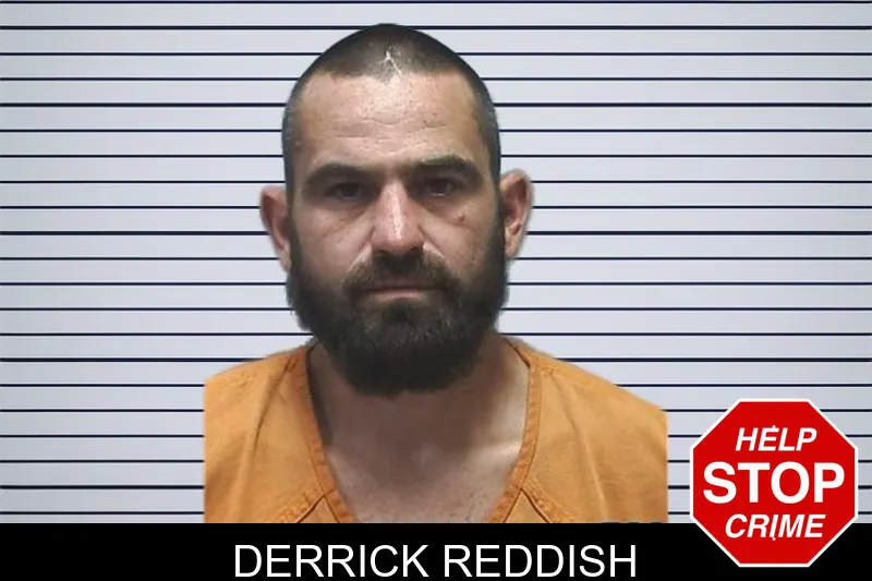 Derrick Reddish mugshot