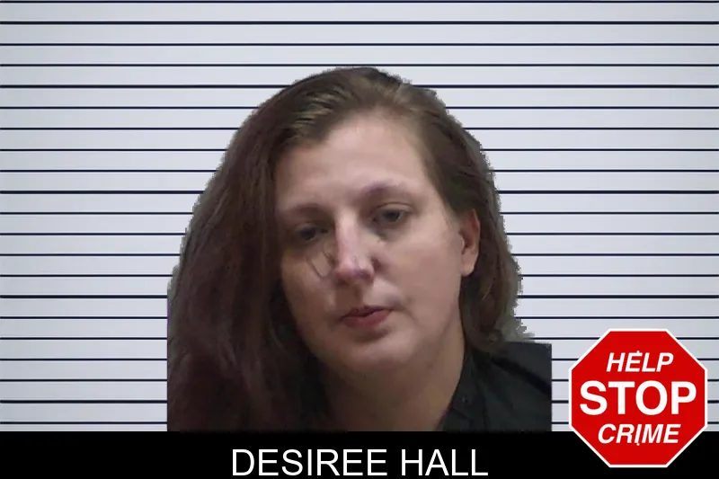 Desiree Hall mugshot – Madison County , Georgia Desiree Hall mugshot