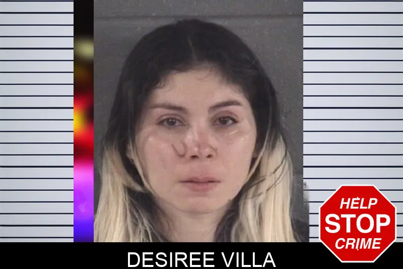 Desiree Villa mugshot
