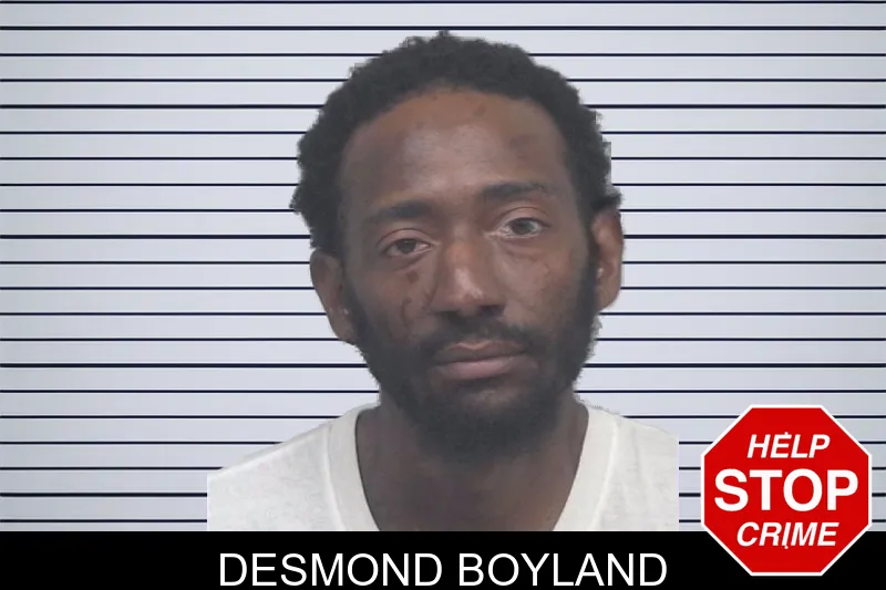Desmond Boyland mugshot