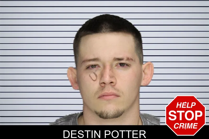 Destin Potter mugshot