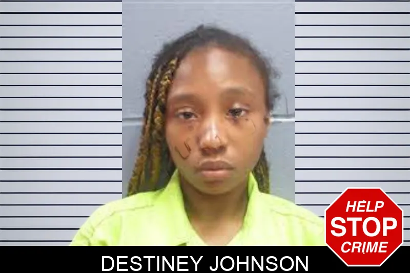 Destiney Johnson mugshot