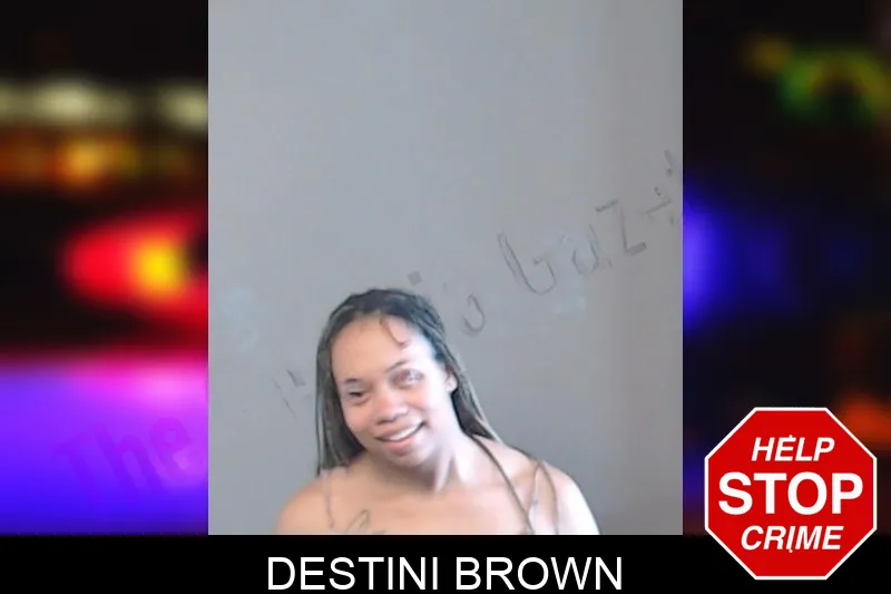 Destini Brown mugshot – DeKalb County , Georgia Destini Brown mugshot