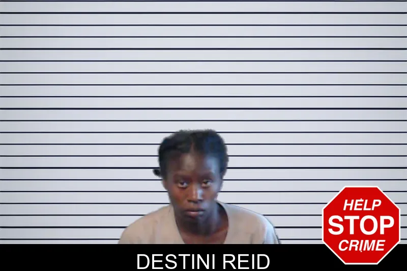 Destini Reid mugshot – DeKalb County , Georgia Destini Reid mugshot