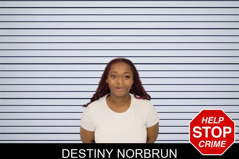Destiny Norbrun mugshot – Cobb County , Georgia Destiny Norbrun mugshot