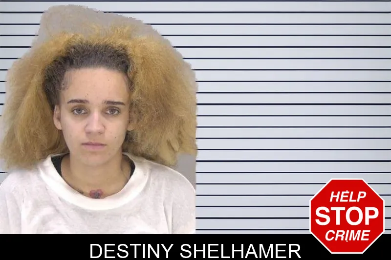 Destiny Shelhamer mugshot