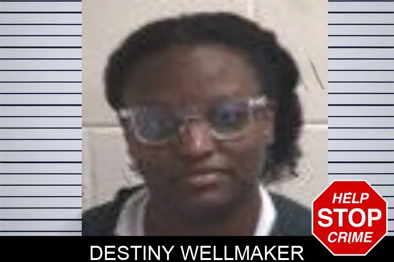 Destiny Wellmaker mugshot