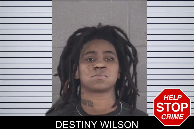 Destiny Wilson mugshot – Spalding County , Georgia Destiny Wilson mugshot