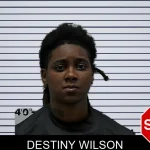 Destiny Wilson mugshot