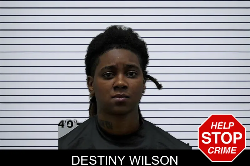 Destiny Wilson mugshot