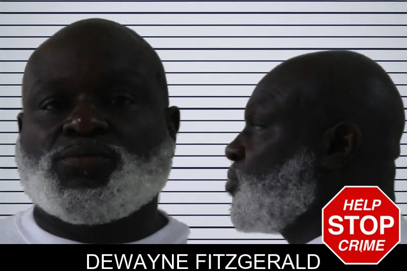 Dewayne Fitzgerald mugshot – Houston County , Georgia Dewayne Fitzgerald mugshot
