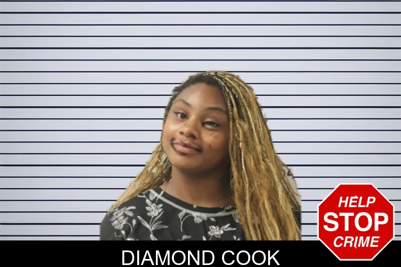 Diamond Cook mugshot