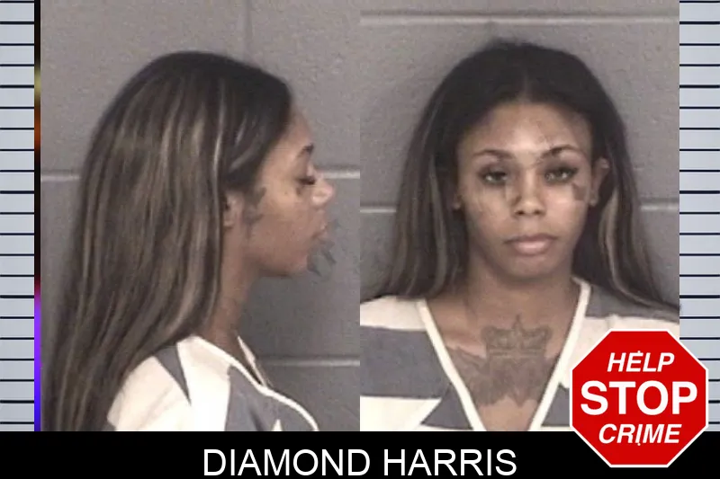 Diamond Harris mugshot