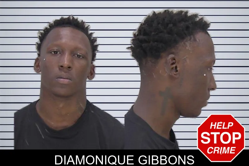 Diamonique Gibbons mugshot – Richmond County , Georgia Diamonique Gibbons mugshot
