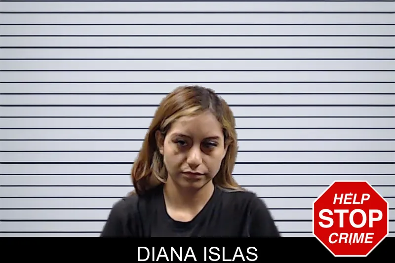 Diana Islas mugshot