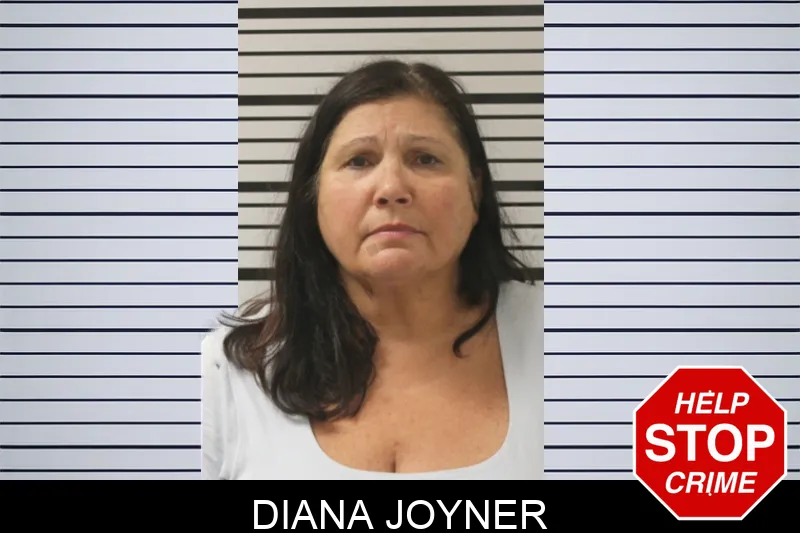 Diana Joyner mugshot – Toombs County , Georgia Diana Joyner mugshot