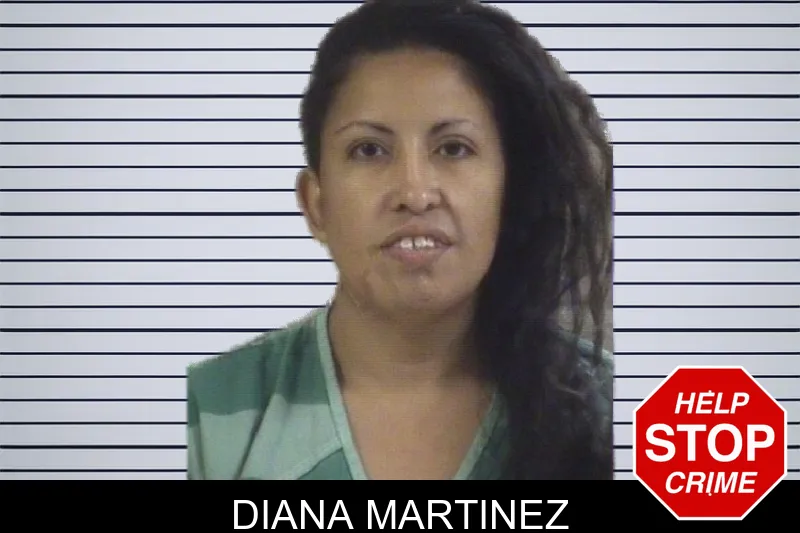 Diana Martinez mugshot