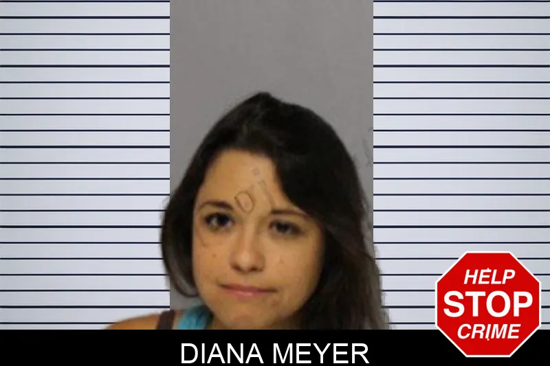 Diana Meyer mugshot – Hall County , Georgia Diana Meyer mugshot