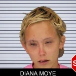 Diana Moye mugshot – Cobb County , Georgia Diana Moye mugshot