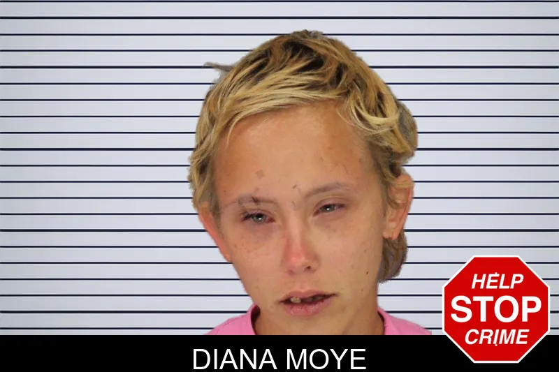 Diana Moye mugshot – Cobb County , Georgia Diana Moye mugshot