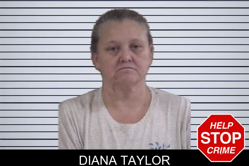 Diana Taylor mugshot – Whitfield County , Georgia Diana Taylor mugshot