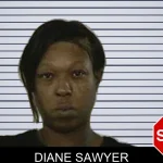 Diane Sawyer mugshot