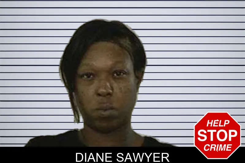 Diane Sawyer mugshot