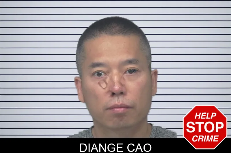 Diange Cao mugshot – Gwinnett County , Georgia Diange Cao mugshot