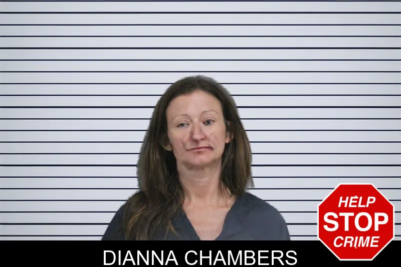 Dianna Chambers mugshot – Catoosa County , Georgia Dianna Chambers mugshot